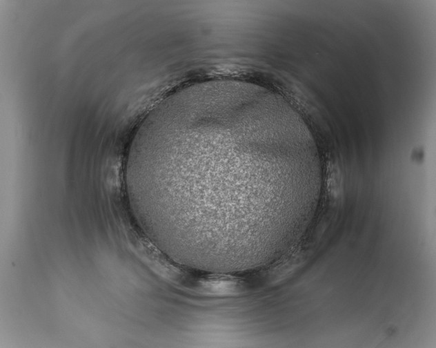 X0000113600514200910021744