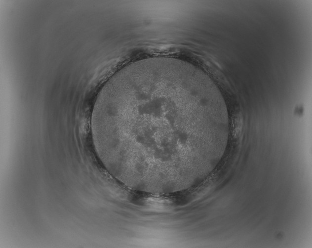 X0000113600515200910021744