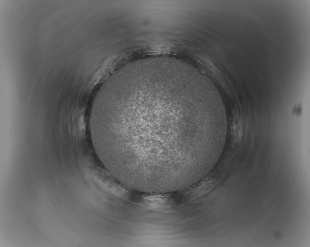 X0000113600516200910021744