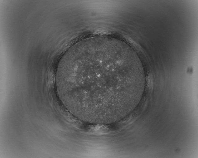 X0000113600517200910021744