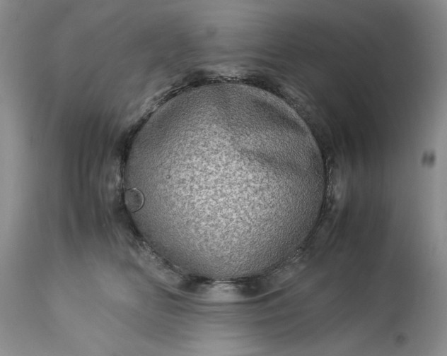 X0000113600518200910021744