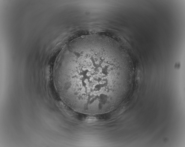 X0000113600519200910021744