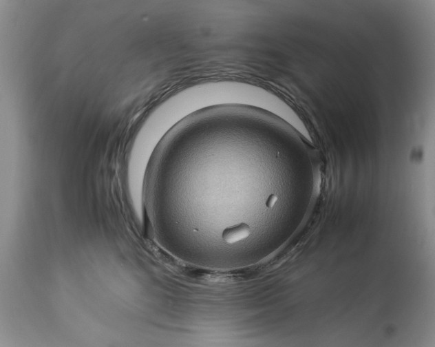 X0000113600520200910021744