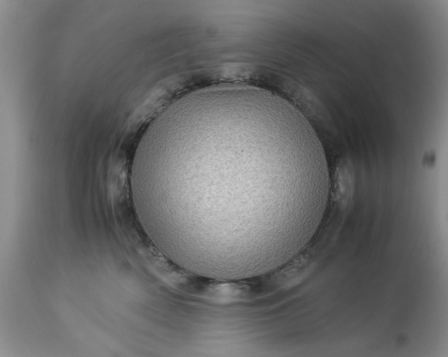 X0000113600522200910021744