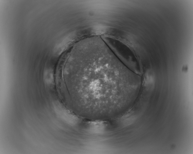 X0000113600524200910021744