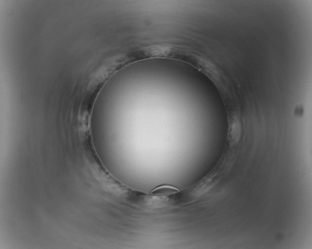 X0000113600525200910021744