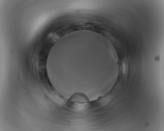 X0000113600526200910021744