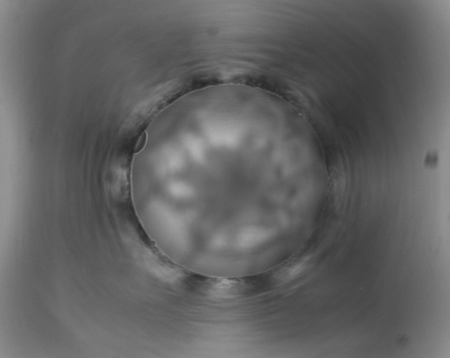 X0000113600527200910021744