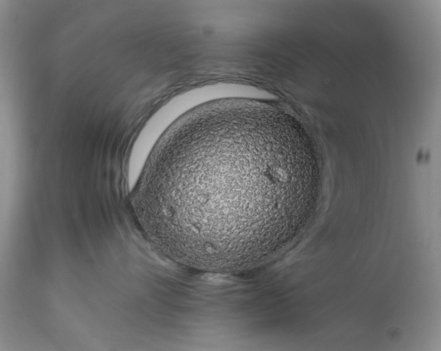 X0000113600528200910021744