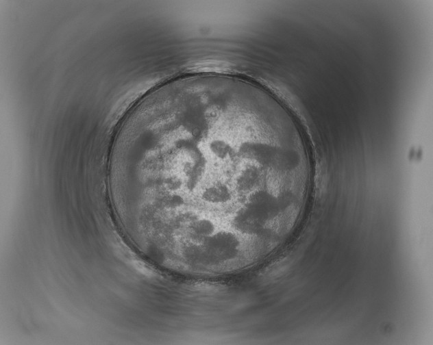 X0000113600529200910021743