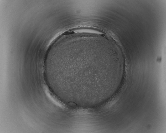 X0000113600530200910021743