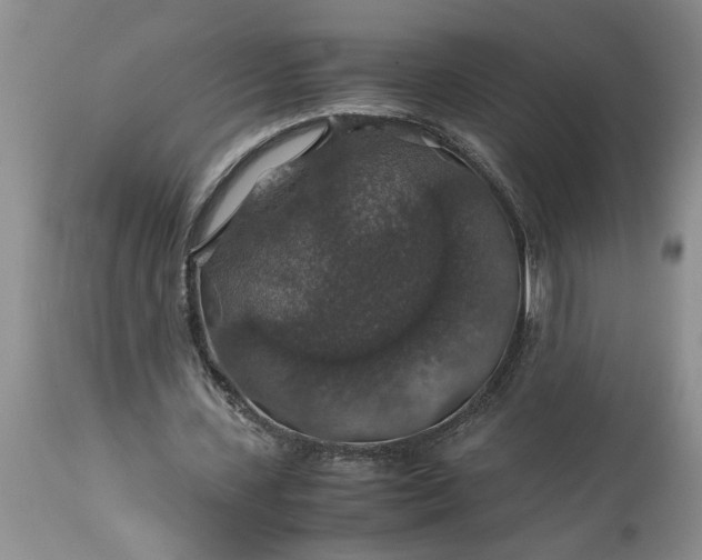 X0000113600531200910021743