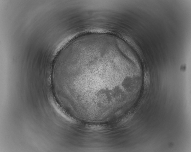 X0000113600533200910021743