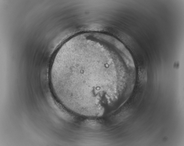 X0000113600534200910021743