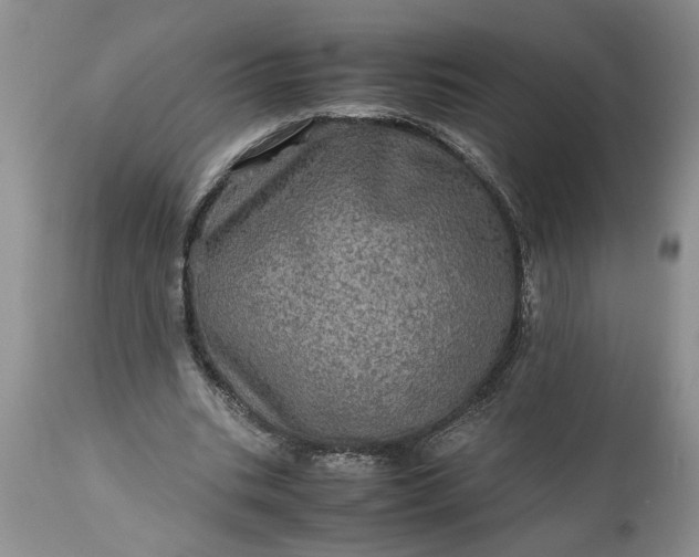 X0000113600535200910021743