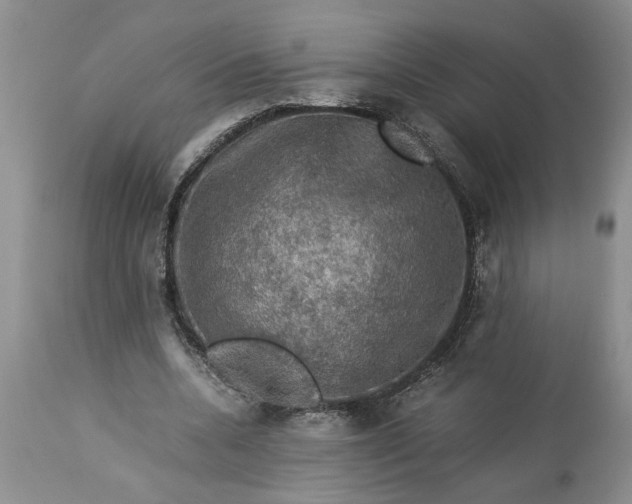 X0000113600536200910021743