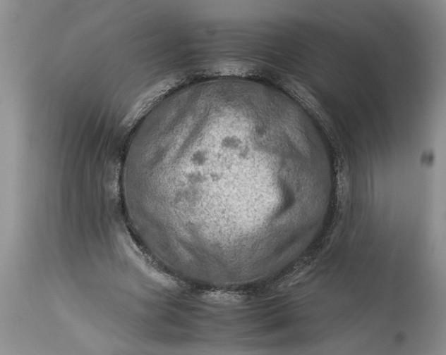 X0000113600537200910021743