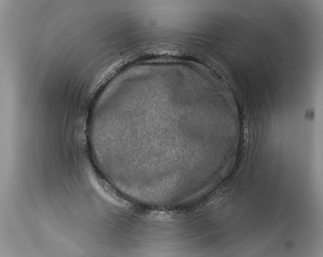 X0000113600538200910021743