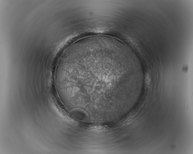 X0000113600540200910021743