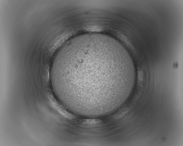 X0000113600541200910021743