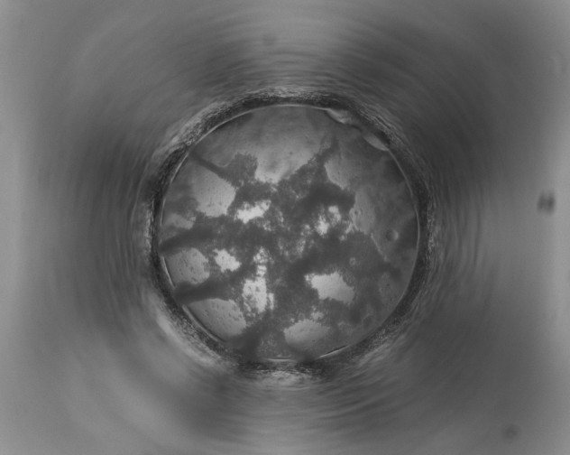 X0000113600542200910021743