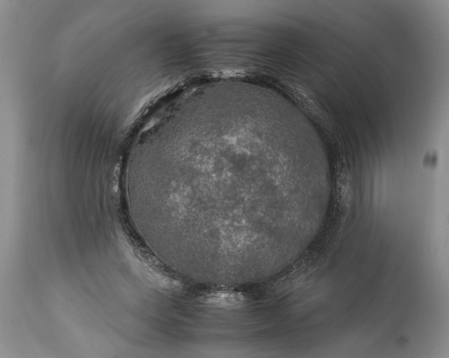 X0000113600543200910021743