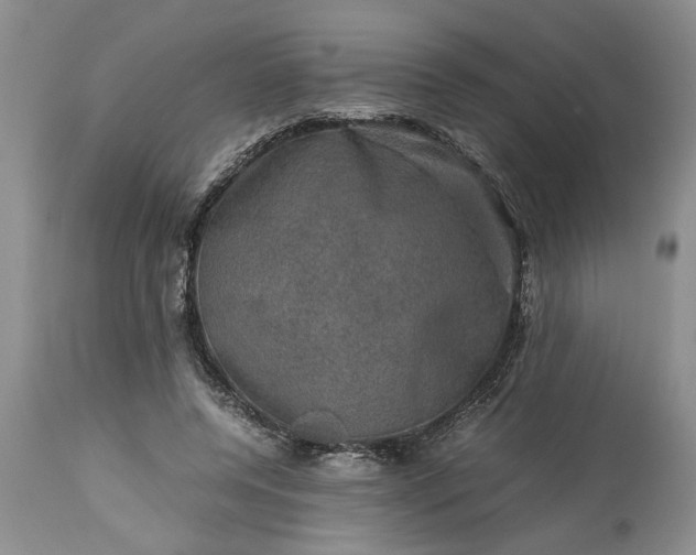 X0000113600544200910021743