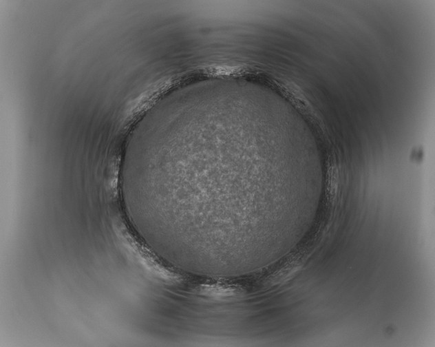 X0000113600545200910021743