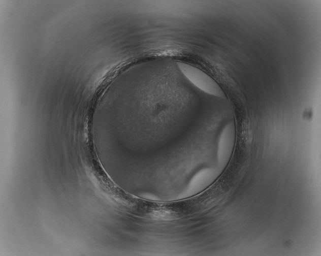 X0000113600547200910021743