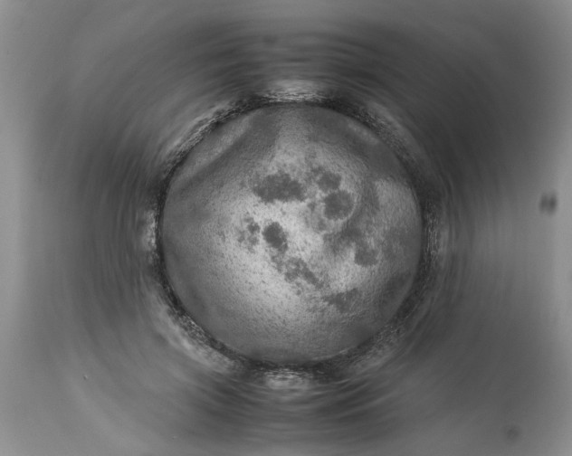 X0000113600549200910021743