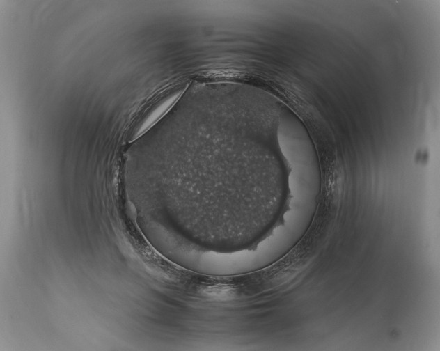 X0000113600551200910021743