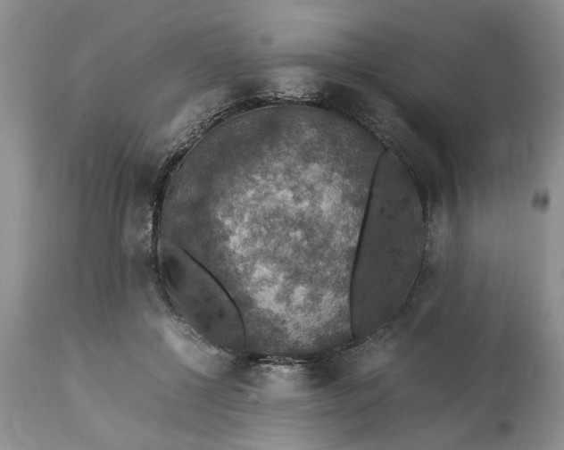 X0000113600552200910021743