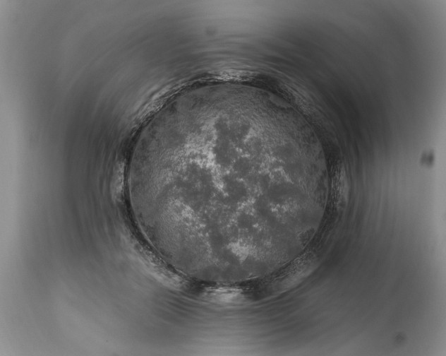 X0000113600554200910021743