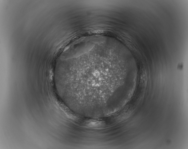 X0000113600555200910021743