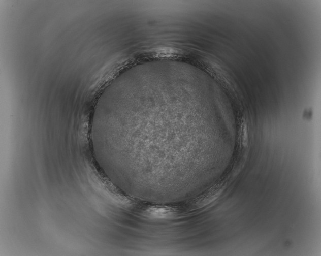 X0000113600557200910021743