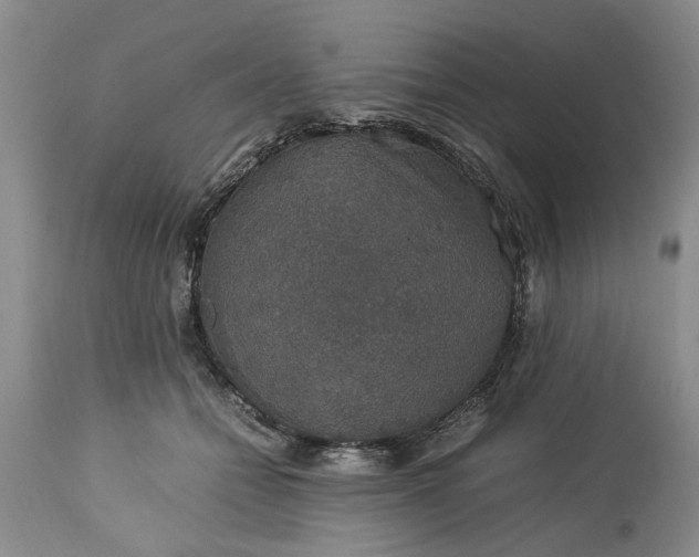 X0000113600558200910021743