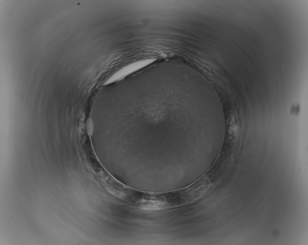 X0000113600559200910021743