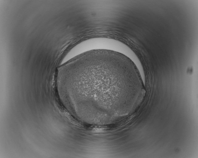 X0000113600560200910021743