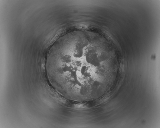 X0000113600561200910021743