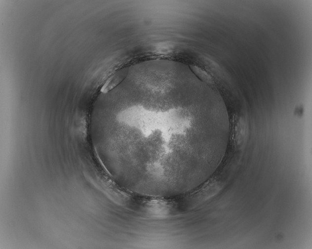 X0000113600562200910021743