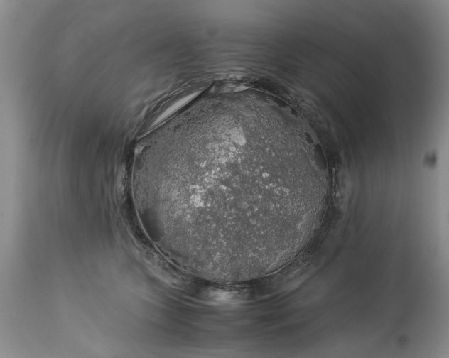 X0000113600563200910021743