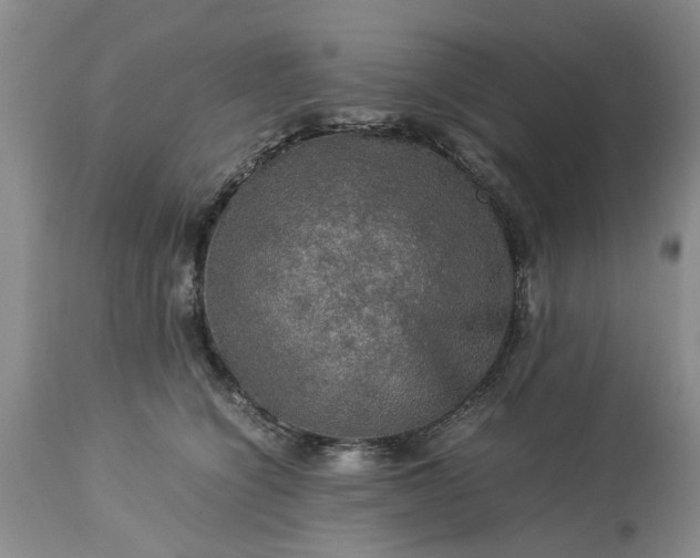 X0000113600564200910021744