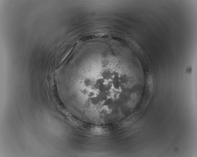 X0000113600565200910021744