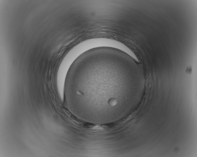 X0000113600566200910021744