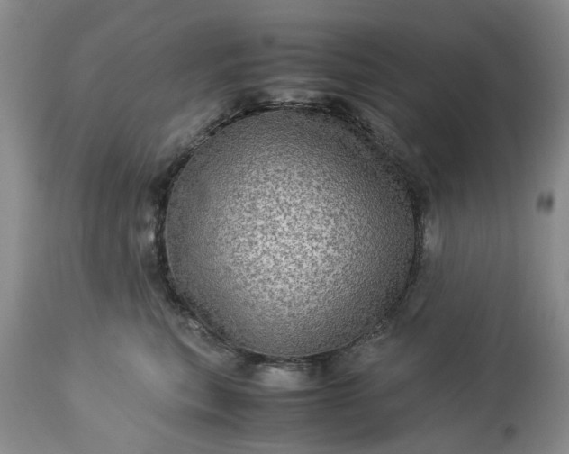 X0000113600567200910021744