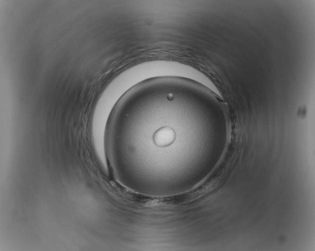 X0000113600568200910021744