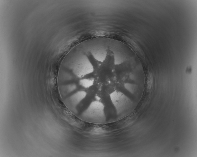 X0000113600569200910021744