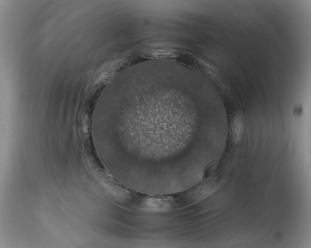 X0000113600571200910021744