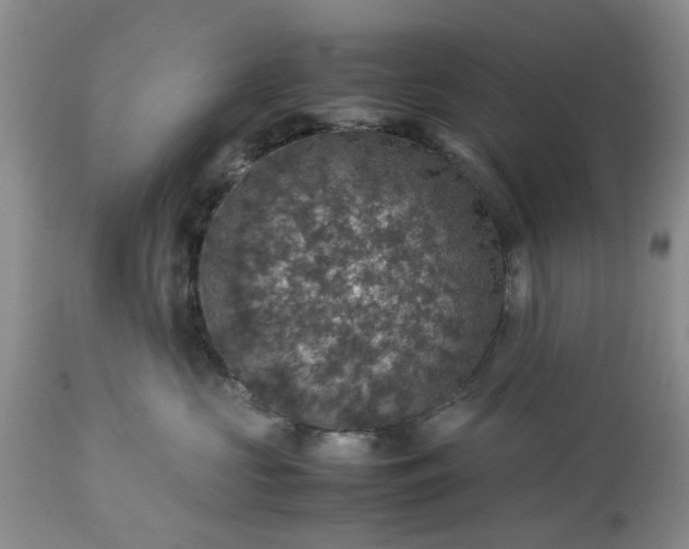 X0000113600573200910021744