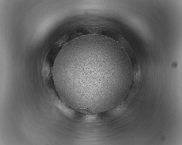 X0000113600574200910021744